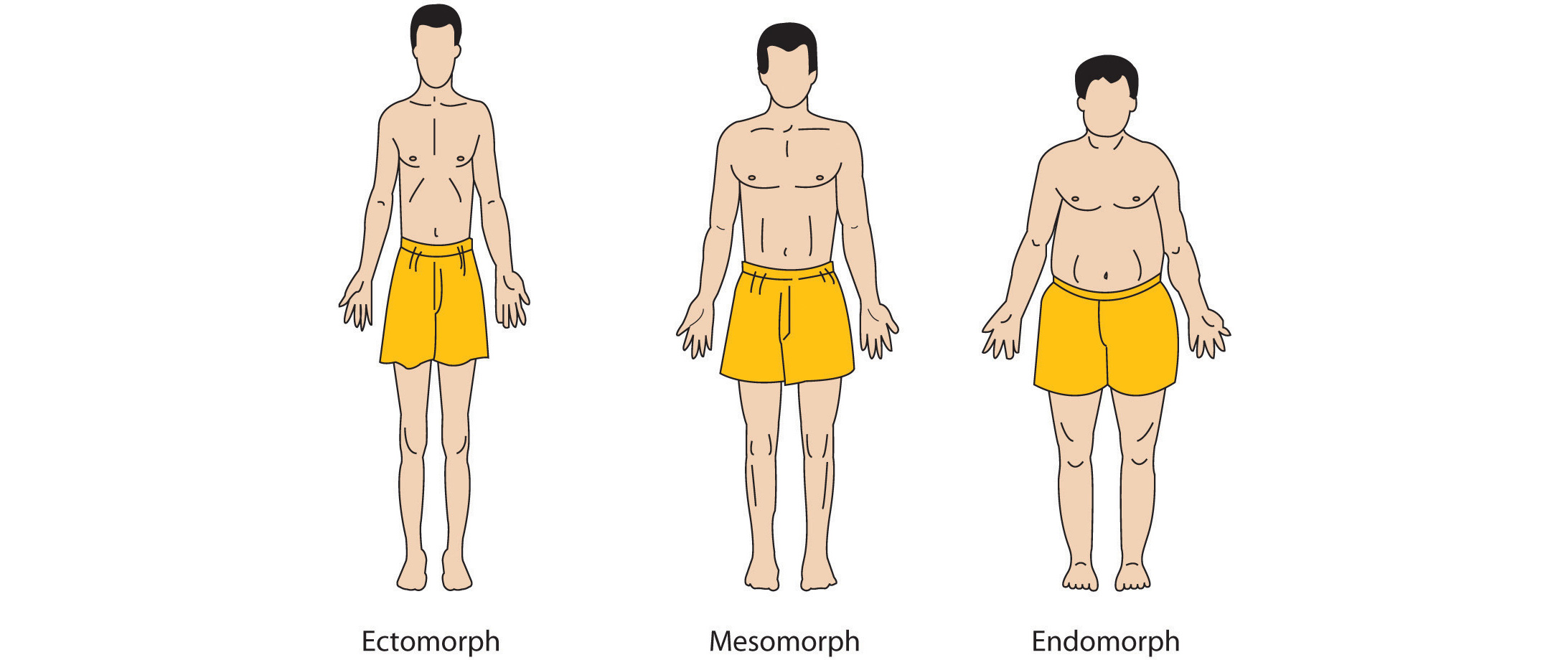 What Shape Are You In?